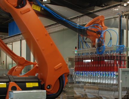 Empaquetadora con Robot